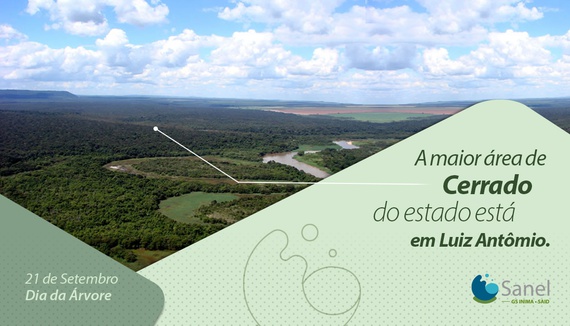 A maior área de cerrado do estado está em Luiz Antônio